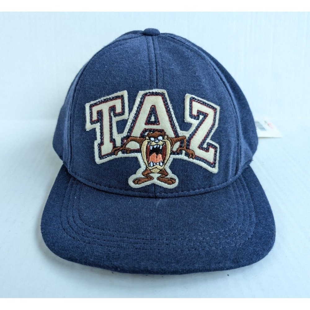 Vintage Taz Looney Tunes Hat NWT Tasmanian Devil Warner Bros Snapback Blue - Picture 2 of 8